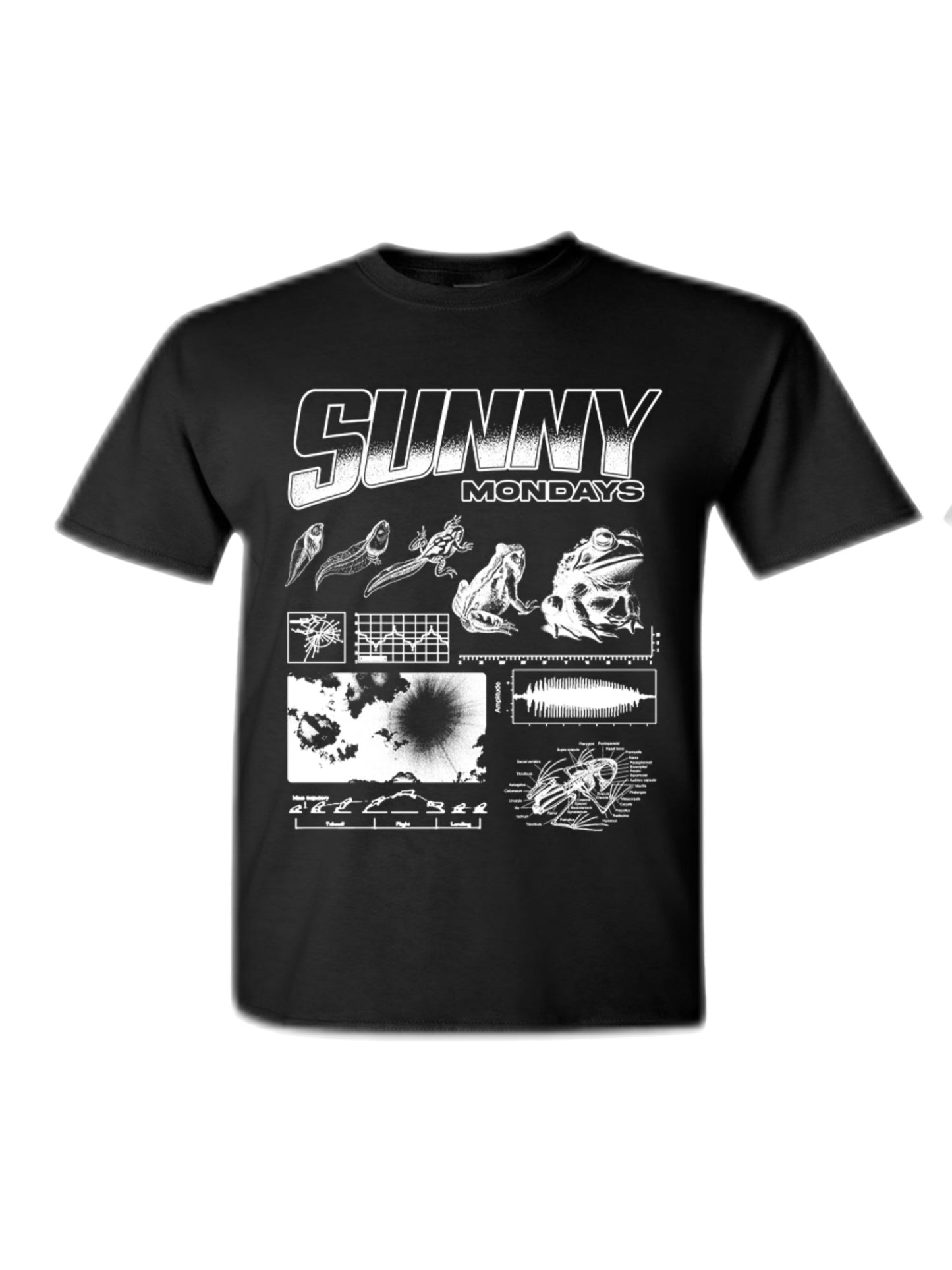 Frognatomy Tee (limited sizes)