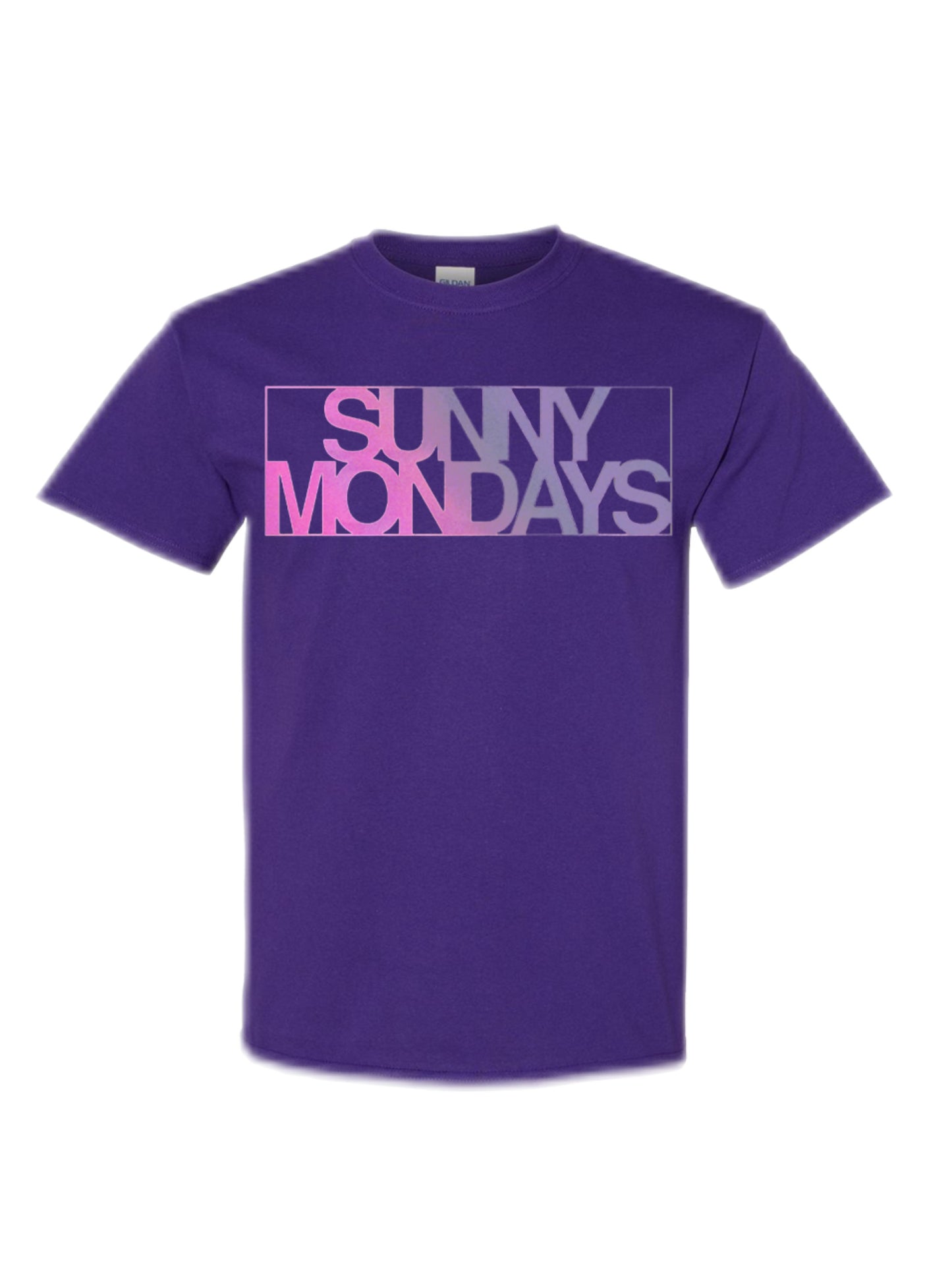 Purple Logo Tee (limited sizes)